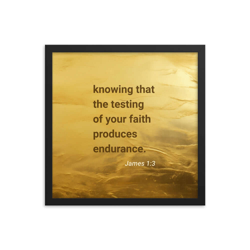 James 1:3 Bible Verse, testing of your faith Premium Luster Photo Paper Framed Poster Wall Art Black 16″×16″