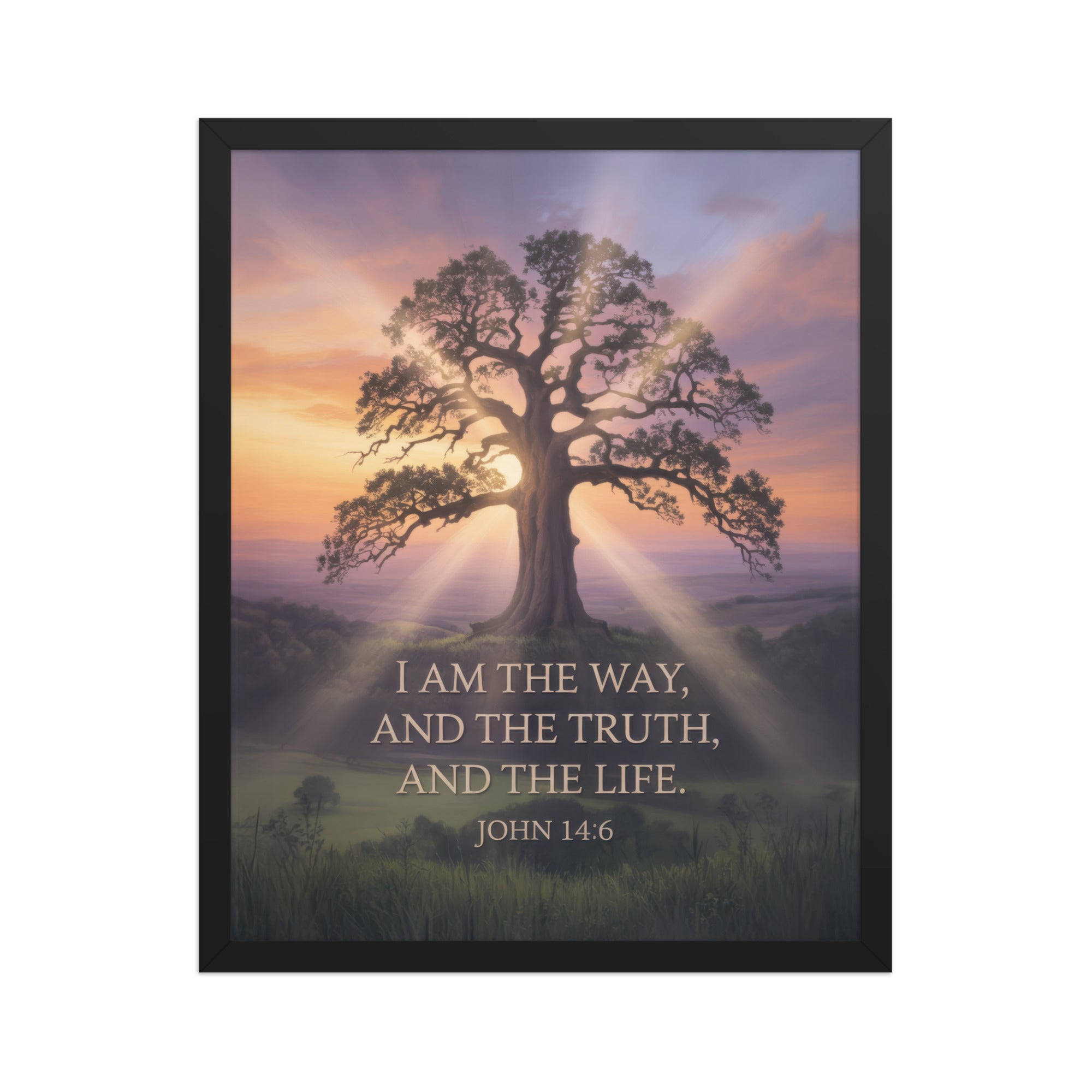 John 14:6 Bible Verse Jesus said Premium Luster Photo Paper Framed Poster Black 16″×20″
