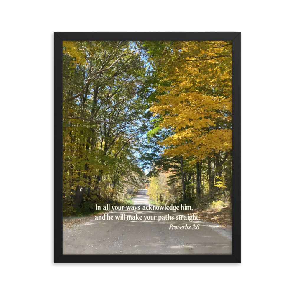 Proverbs 3:6 Bible Verse, Fall Road Premium Luster Photo Paper Framed Poster Wall Art Black 16″×20″