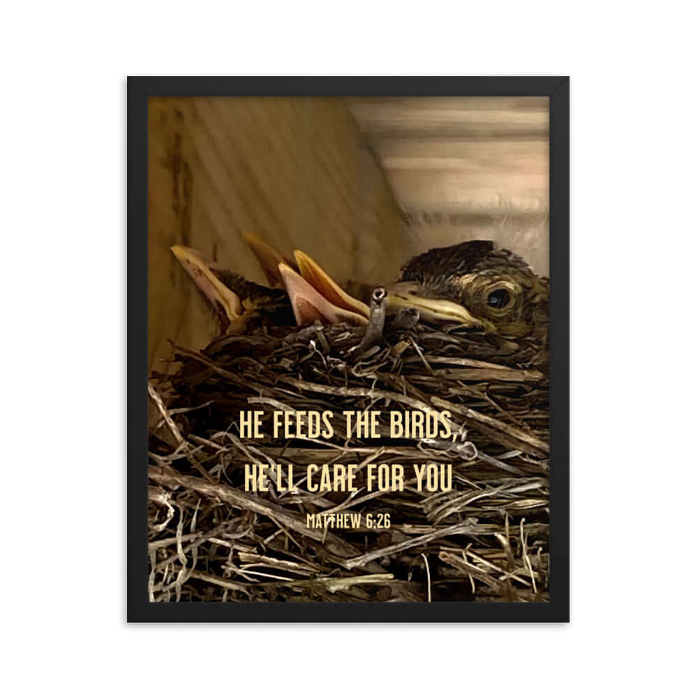Matthew 6:26 Baby Robins, He'll Care for You Premium Luster Photo Paper Framed Poster Wall Art Black 16″×20″