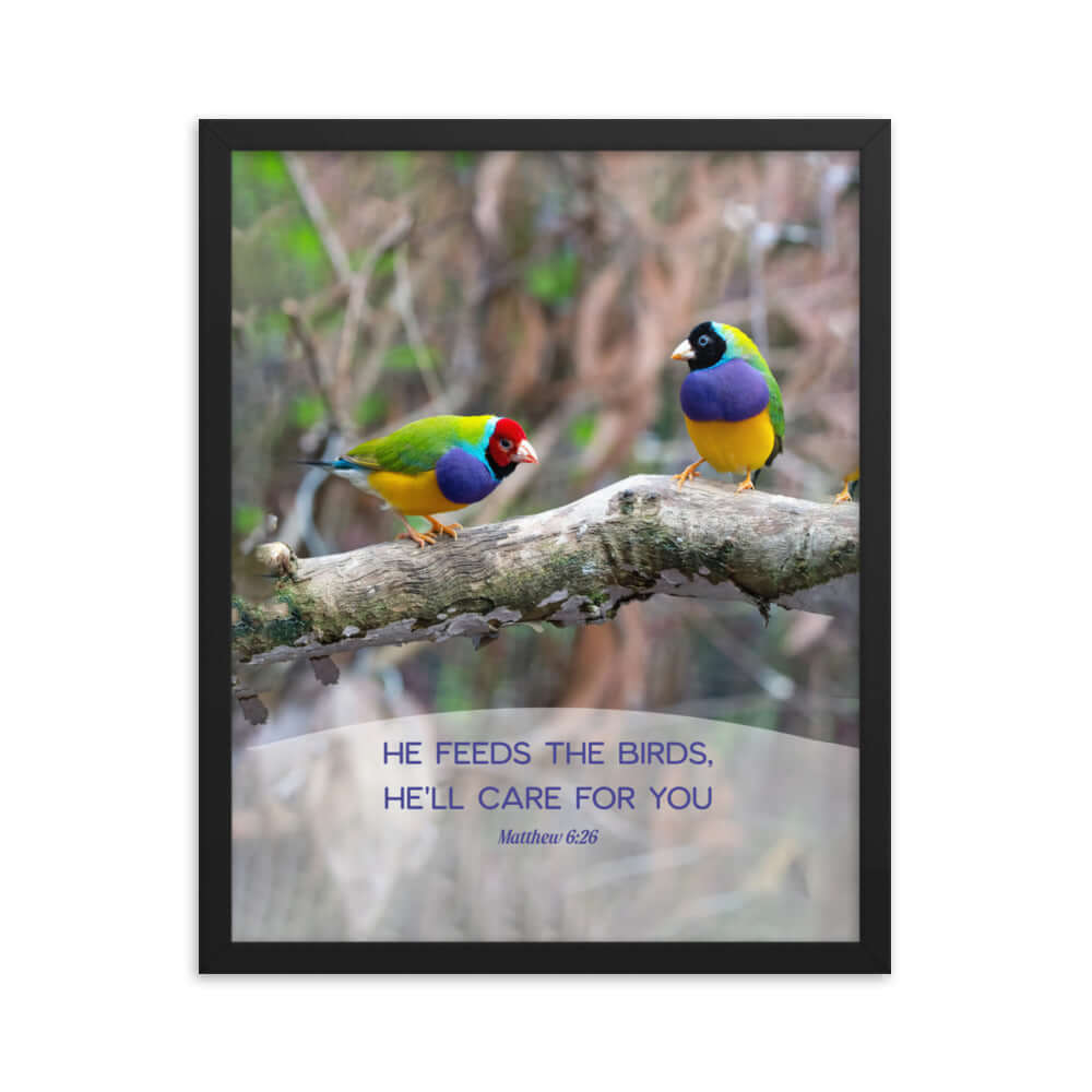 Matthew 6:26 Gouldian Finches, He'll Care for You Premium Luster Photo Paper Framed Poster Wall Art Black 16″×20″