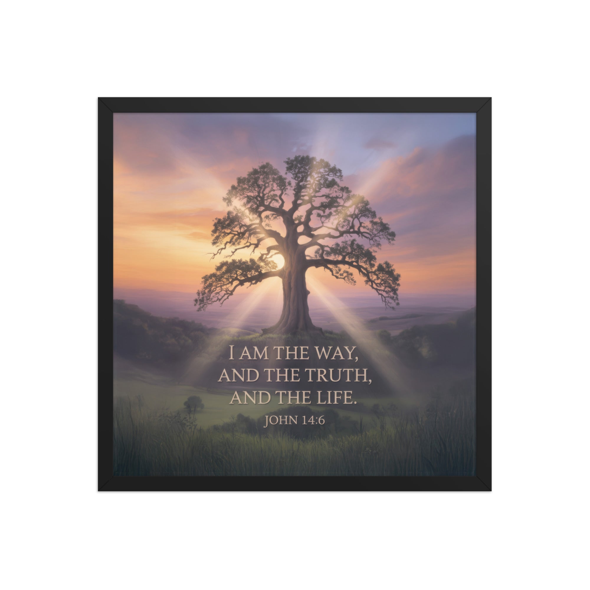 John 14:6 Bible Verse Jesus said Premium Luster Photo Paper Framed Poster Black 18″×18″