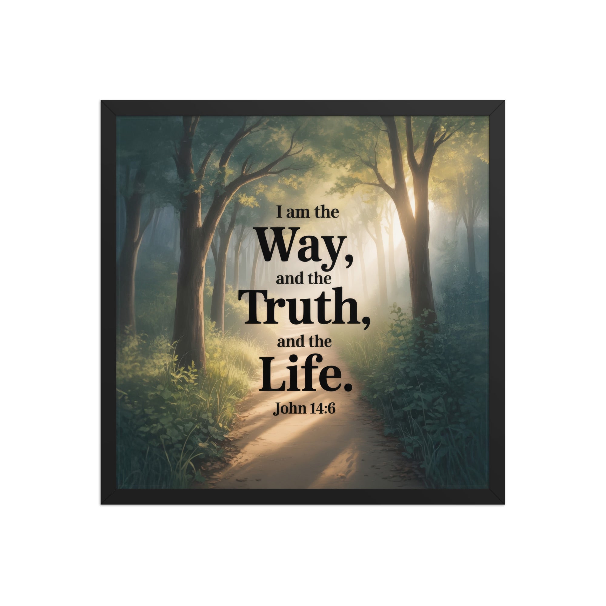 John 14:6 Bible Verse The Life Premium Luster Photo Paper Framed Poster Black 18″×18″
