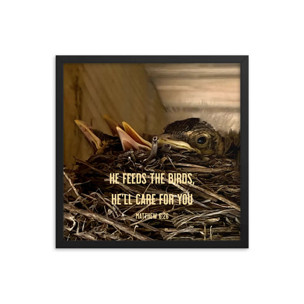 Matthew 6:26 Baby Robins, He'll Care for You Premium Luster Photo Paper Framed Poster Wall Art Black 18″×18″