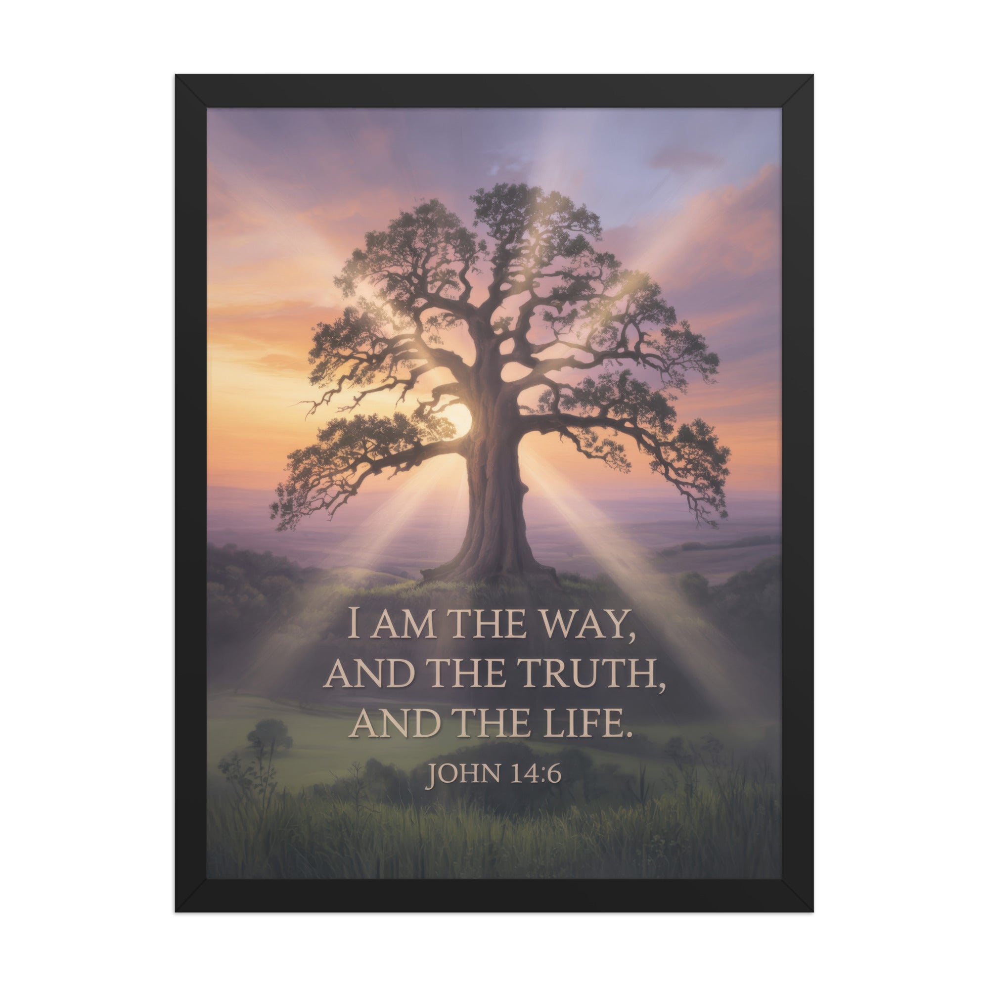 John 14:6 Bible Verse Jesus said Premium Luster Photo Paper Framed Poster Black 18″×24″