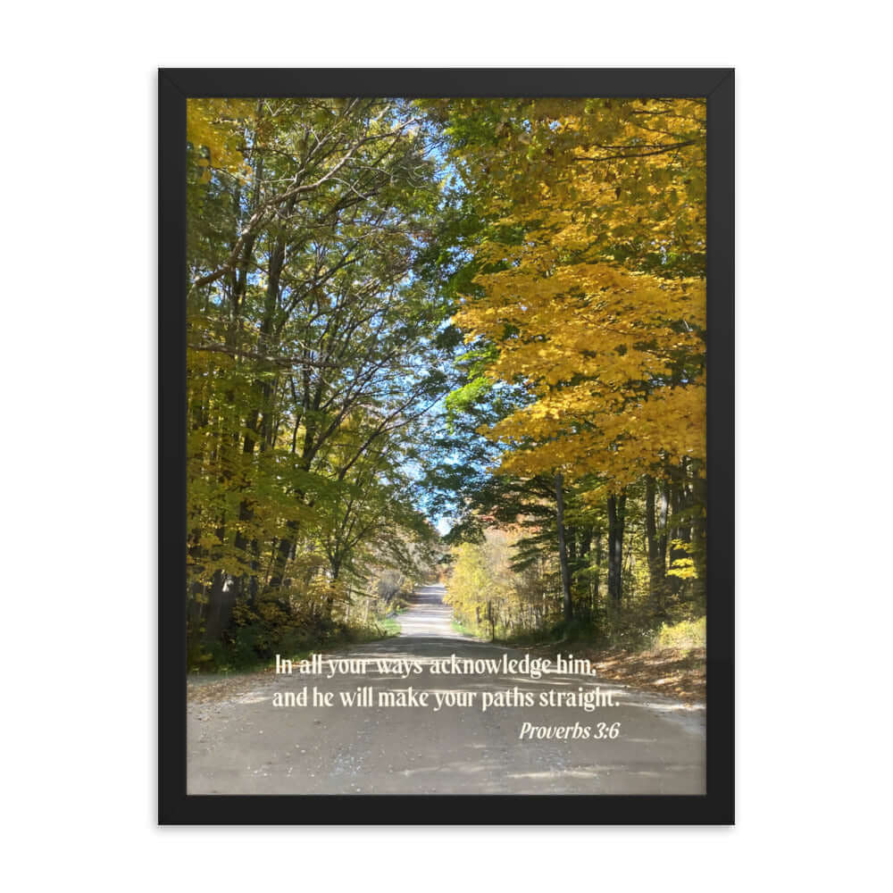 Proverbs 3:6 Bible Verse, Fall Road Premium Luster Photo Paper Framed Poster Wall Art Black 18″×24″