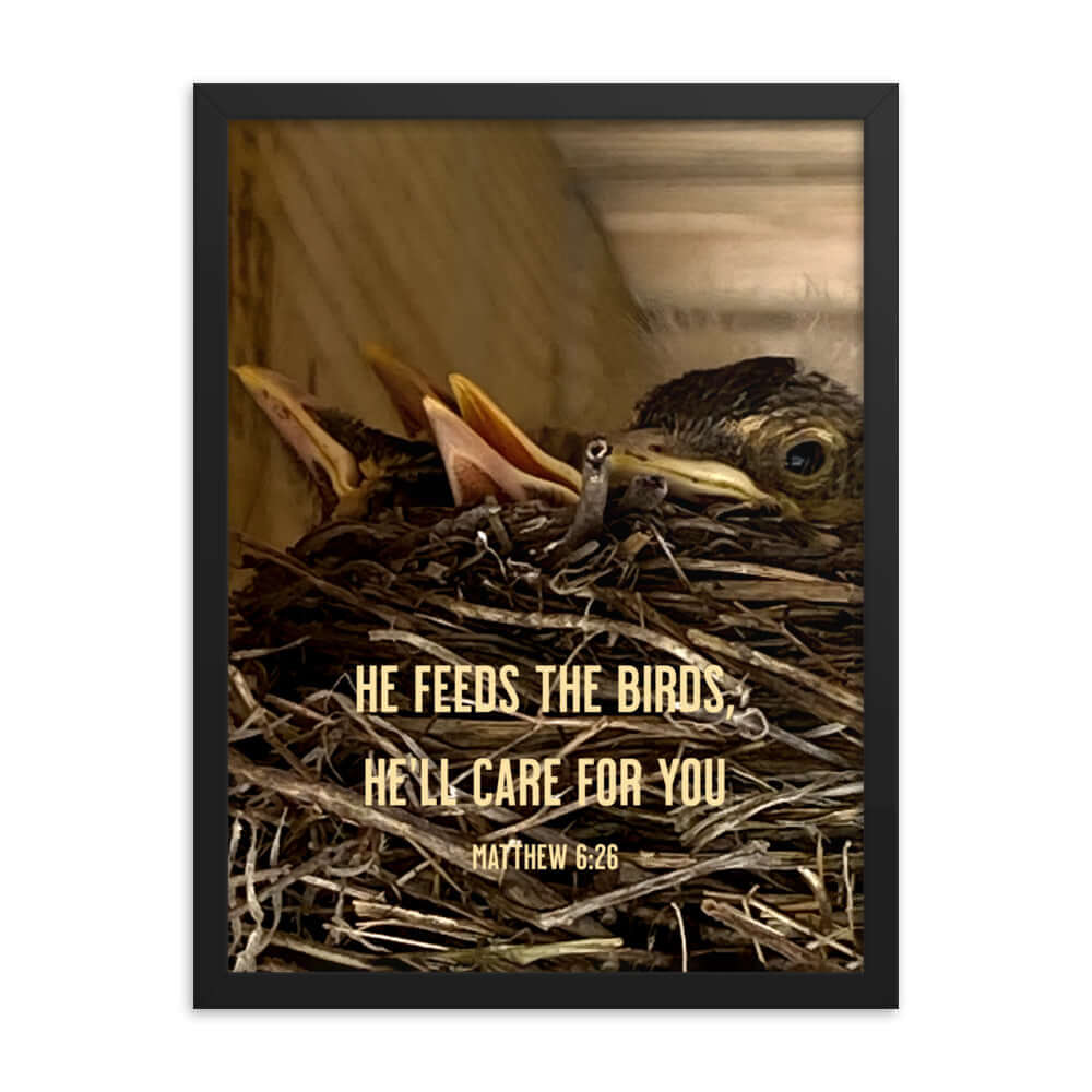 Matthew 6:26 Baby Robins, He'll Care for You Premium Luster Photo Paper Framed Poster Wall Art Black 18″×24″