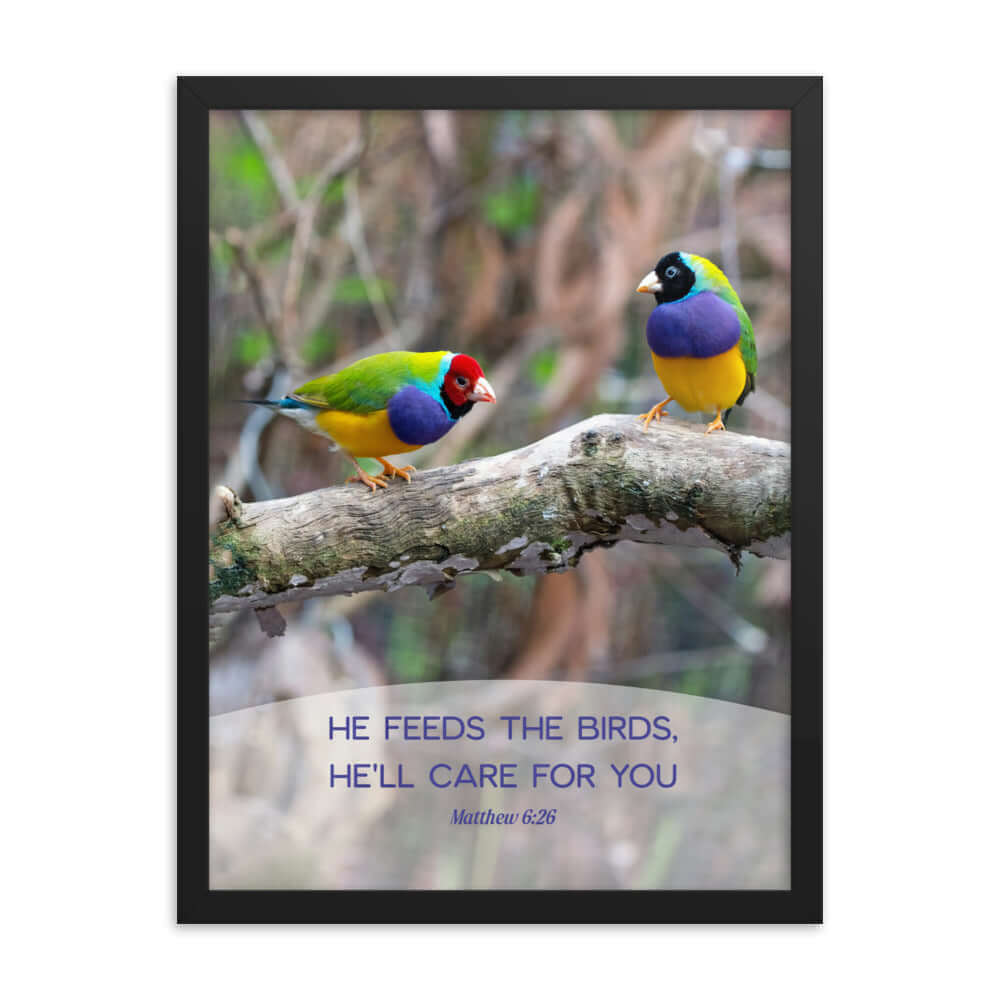 Matthew 6:26 Gouldian Finches, He'll Care for You Premium Luster Photo Paper Framed Poster Wall Art Black 18″×24″