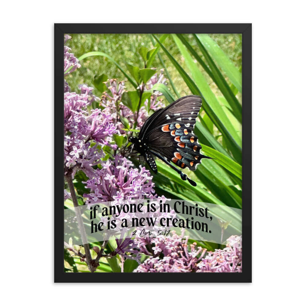 2 Corinthians 5:17 Bible Verse, Butterfly Premium Luster Photo Paper Framed Poster Wall Art Black 18″×24″