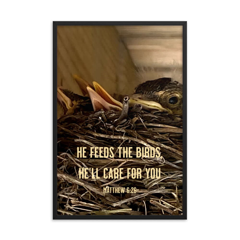 Matthew 6:26 Baby Robins, He'll Care for You Premium Luster Photo Paper Framed Poster Wall Art Black 24″×36″