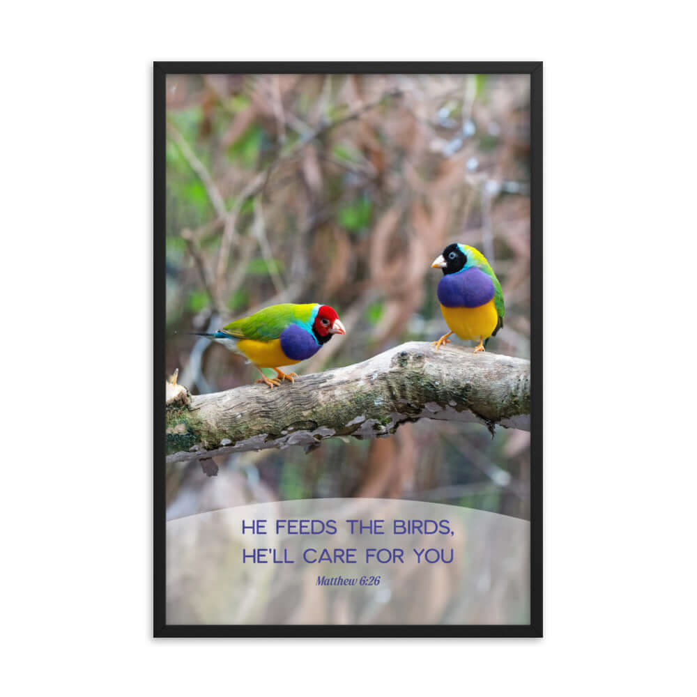 Matthew 6:26 Gouldian Finches, He'll Care for You Premium Luster Photo Paper Framed Poster Wall Art Black 24″×36″