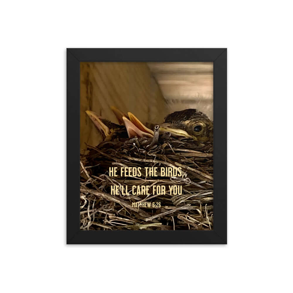 Matthew 6:26 Baby Robins, He'll Care for You Premium Luster Photo Paper Framed Poster Wall Art Black 8″×10″