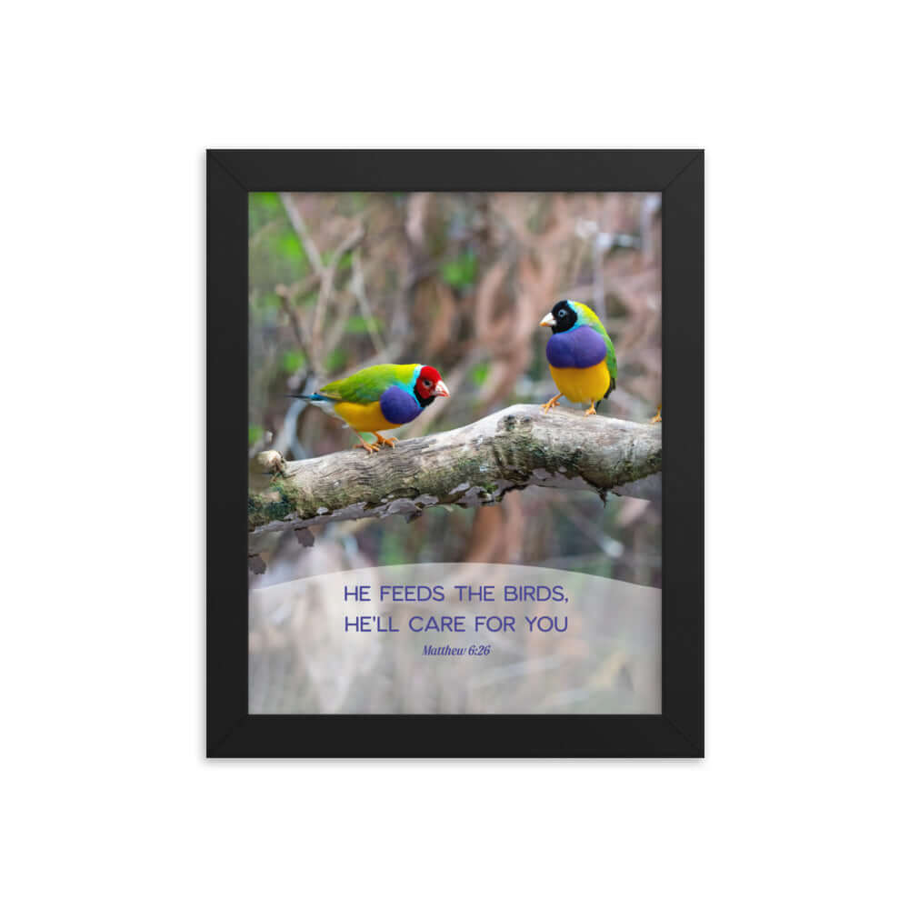 Matthew 6:26 Gouldian Finches, He'll Care for You Premium Luster Photo Paper Framed Poster Wall Art Black 8″×10″