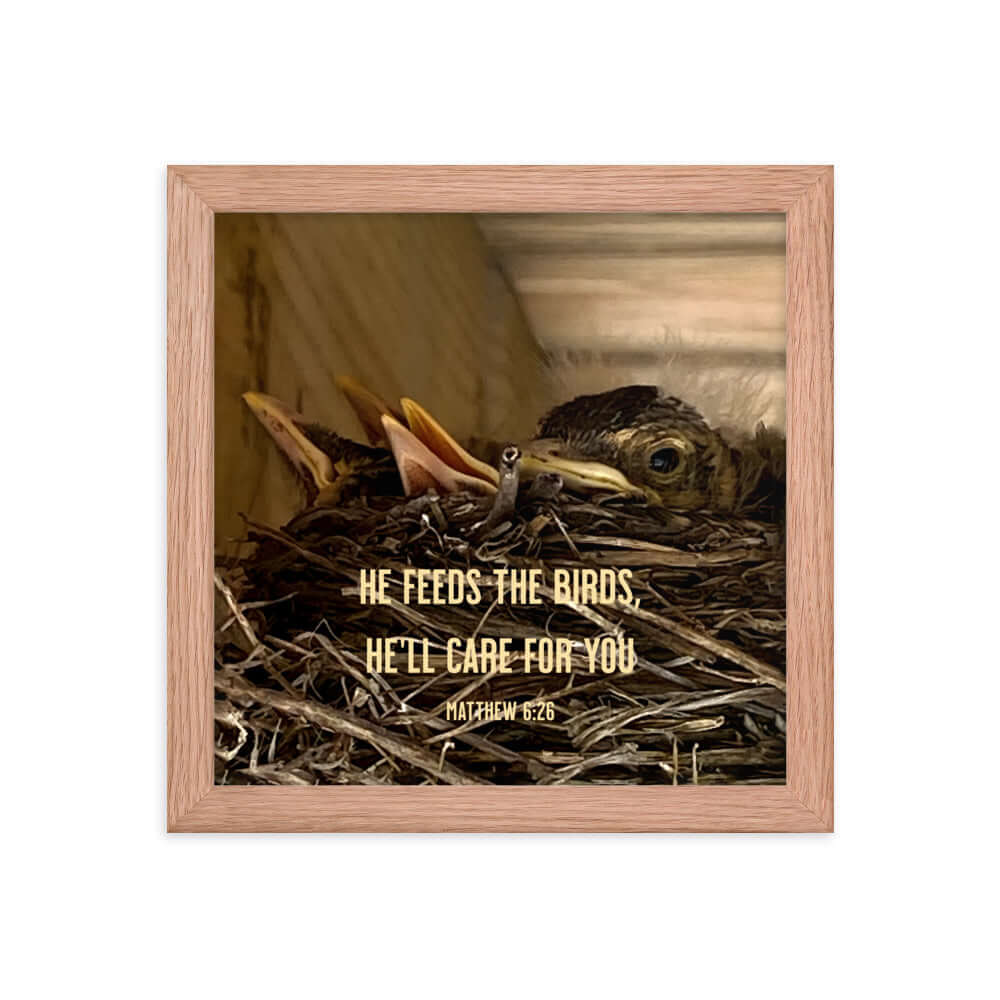 Matthew 6:26 Baby Robins, He'll Care for You Premium Luster Photo Paper Framed Poster Wall Art Red Oak 10″×10″