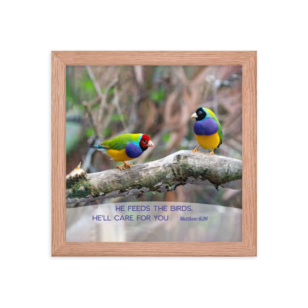 Matthew 6:26 Gouldian Finches, He'll Care for You Premium Luster Photo Paper Framed Poster Wall Art Red Oak 10″×10″