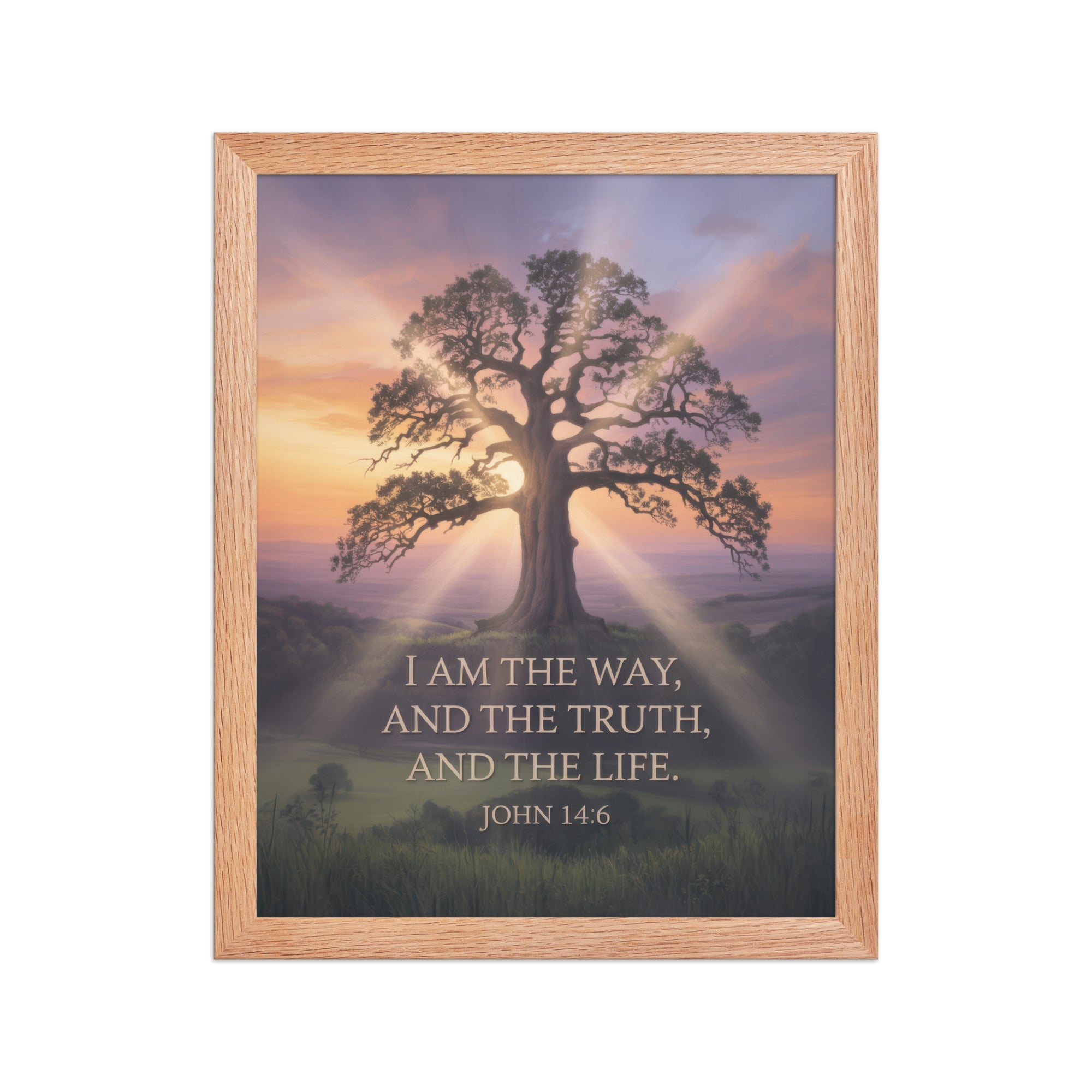 John 14:6 Bible Verse Jesus said Premium Luster Photo Paper Framed Poster Red Oak 11″×14″