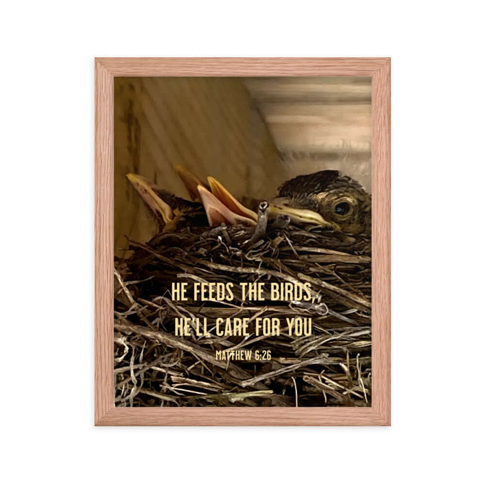 Matthew 6:26 Baby Robins, He'll Care for You Premium Luster Photo Paper Framed Poster Wall Art Red Oak 11″×14″