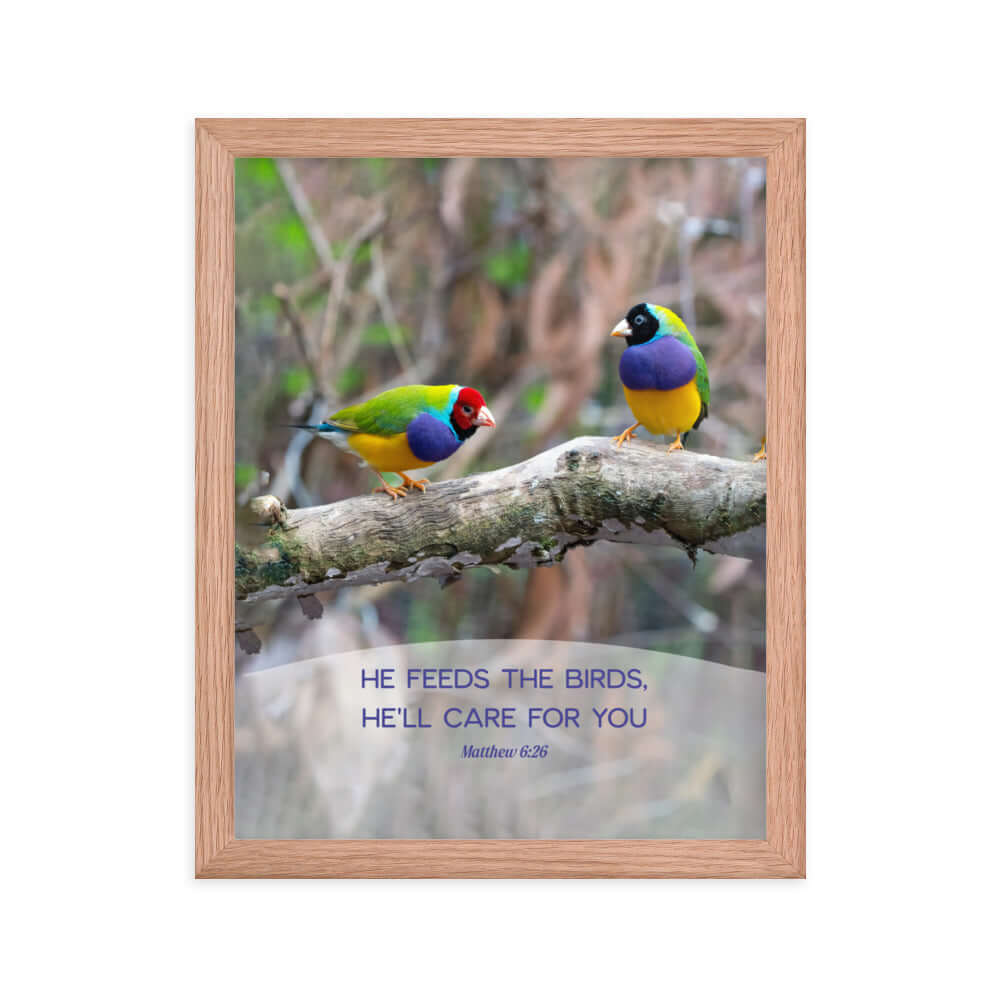 Matthew 6:26 Gouldian Finches, He'll Care for You Premium Luster Photo Paper Framed Poster Wall Art Red Oak 11″×14″