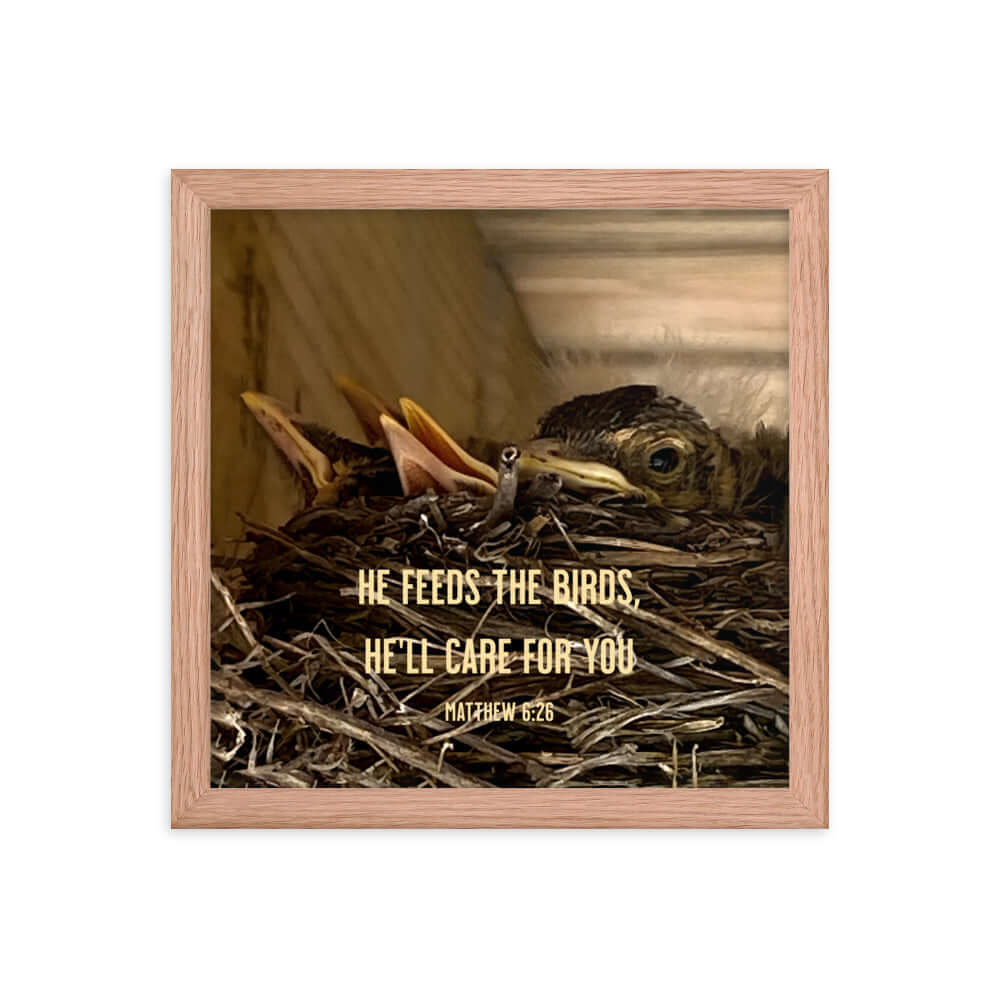 Matthew 6:26 Baby Robins, He'll Care for You Premium Luster Photo Paper Framed Poster Wall Art Red Oak 12″×12″