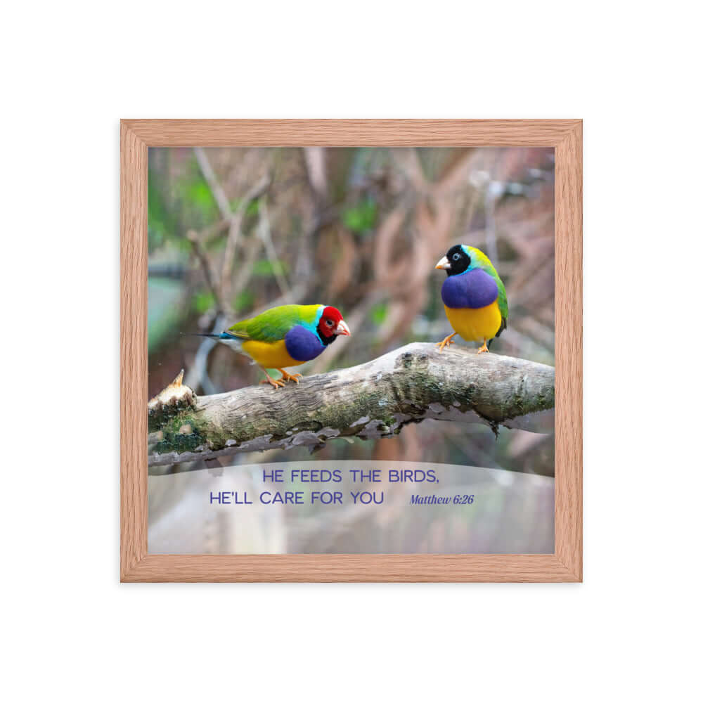 Matthew 6:26 Gouldian Finches, He'll Care for You Premium Luster Photo Paper Framed Poster Wall Art Red Oak 12″×12″