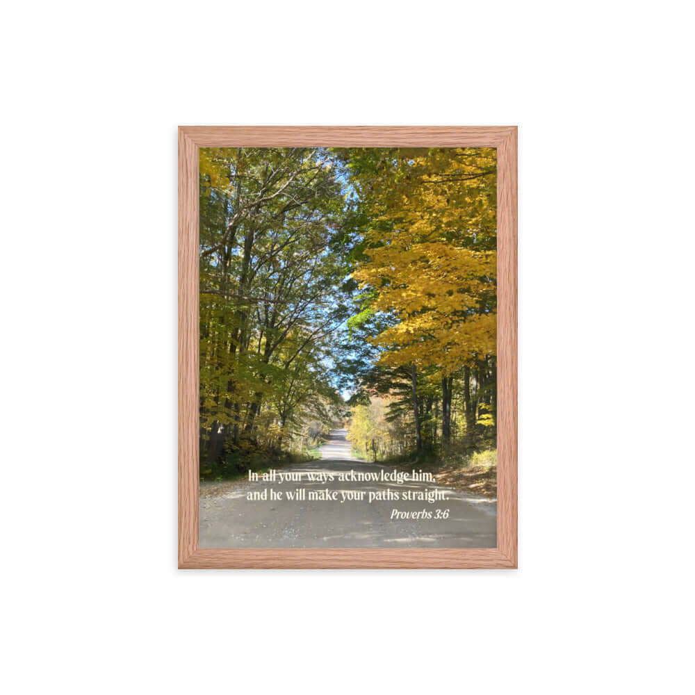 Proverbs 3:6 Bible Verse, Fall Road Premium Luster Photo Paper Framed Poster Wall Art Red Oak 12″×16″