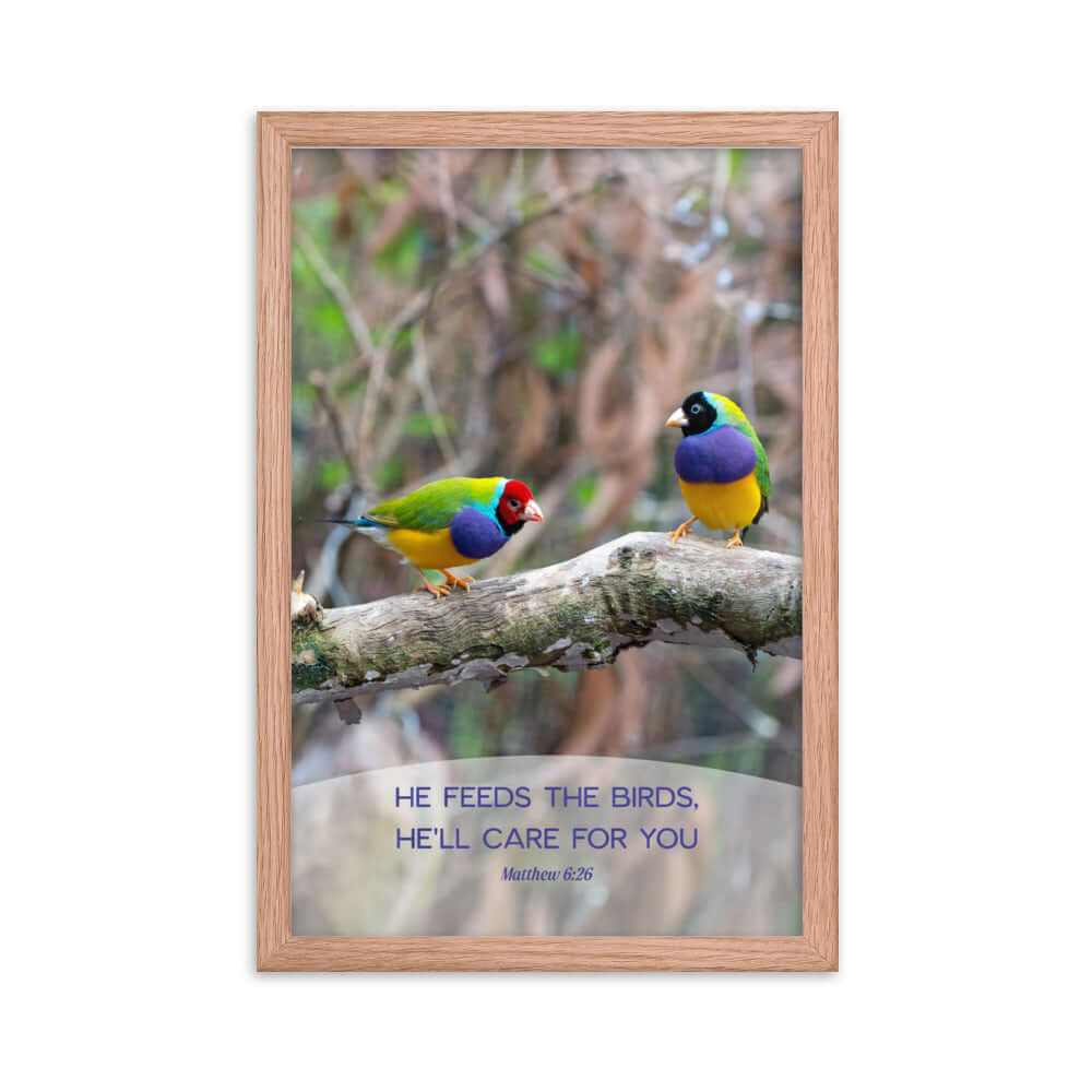Matthew 6:26 Gouldian Finches, He'll Care for You Premium Luster Photo Paper Framed Poster Wall Art Red Oak 12″×18″