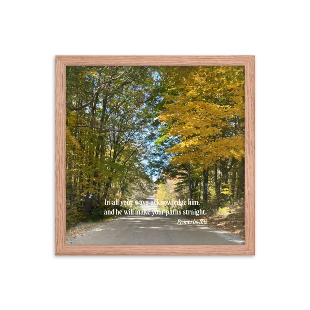 Proverbs 3:6 Bible Verse, Fall Road Premium Luster Photo Paper Framed Poster Wall Art Red Oak 14″×14″