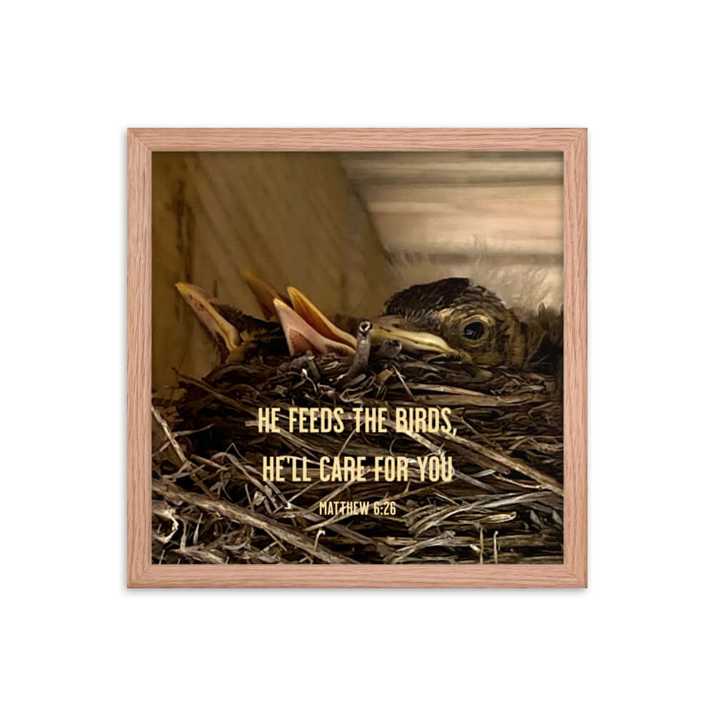 Matthew 6:26 Baby Robins, He'll Care for You Premium Luster Photo Paper Framed Poster Wall Art Red Oak 14″×14″