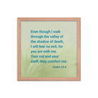 Psalm 23:4 Bible Verse, fear no evil Premium Luster Photo Paper Framed Poster Wall Art Red Oak 14″×14″