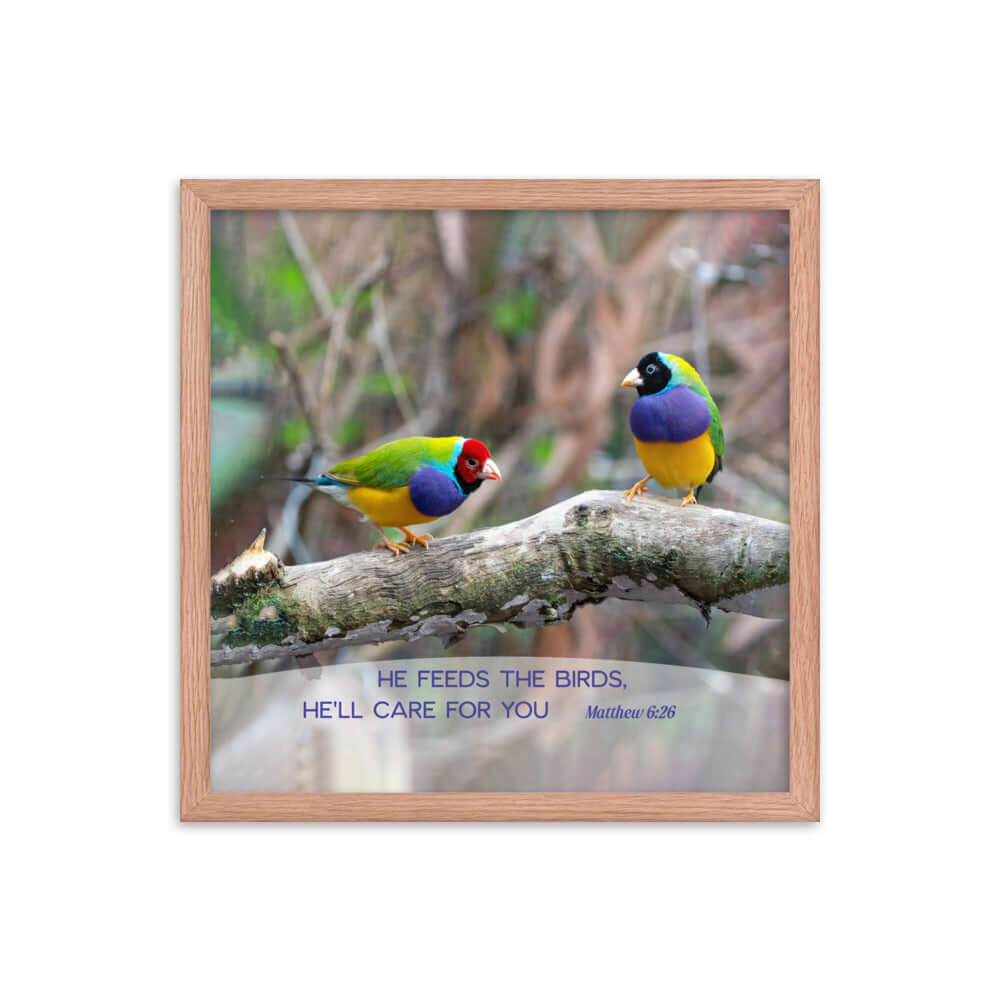 Matthew 6:26 Gouldian Finches, He'll Care for You Premium Luster Photo Paper Framed Poster Wall Art Red Oak 16″×16″