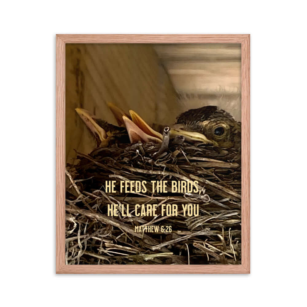 Matthew 6:26 Baby Robins, He'll Care for You Premium Luster Photo Paper Framed Poster Wall Art Red Oak 16″×20″