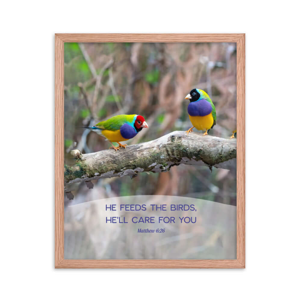 Matthew 6:26 Gouldian Finches, He'll Care for You Premium Luster Photo Paper Framed Poster Wall Art Red Oak 16″×20″