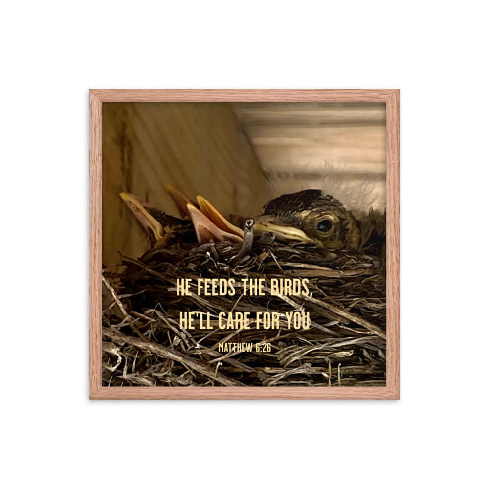Matthew 6:26 Baby Robins, He'll Care for You Premium Luster Photo Paper Framed Poster Wall Art Red Oak 18″×18″