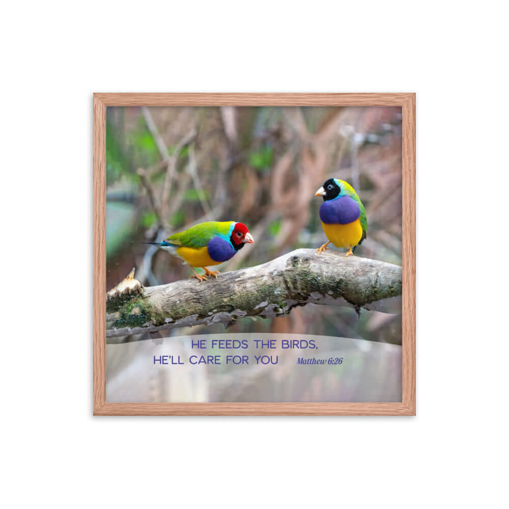 Matthew 6:26 Gouldian Finches, He'll Care for You Premium Luster Photo Paper Framed Poster Wall Art Red Oak 18″×18″