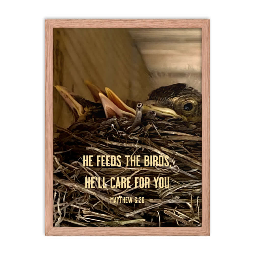 Matthew 6:26 Baby Robins, He'll Care for You Premium Luster Photo Paper Framed Poster Wall Art Red Oak 18″×24″
