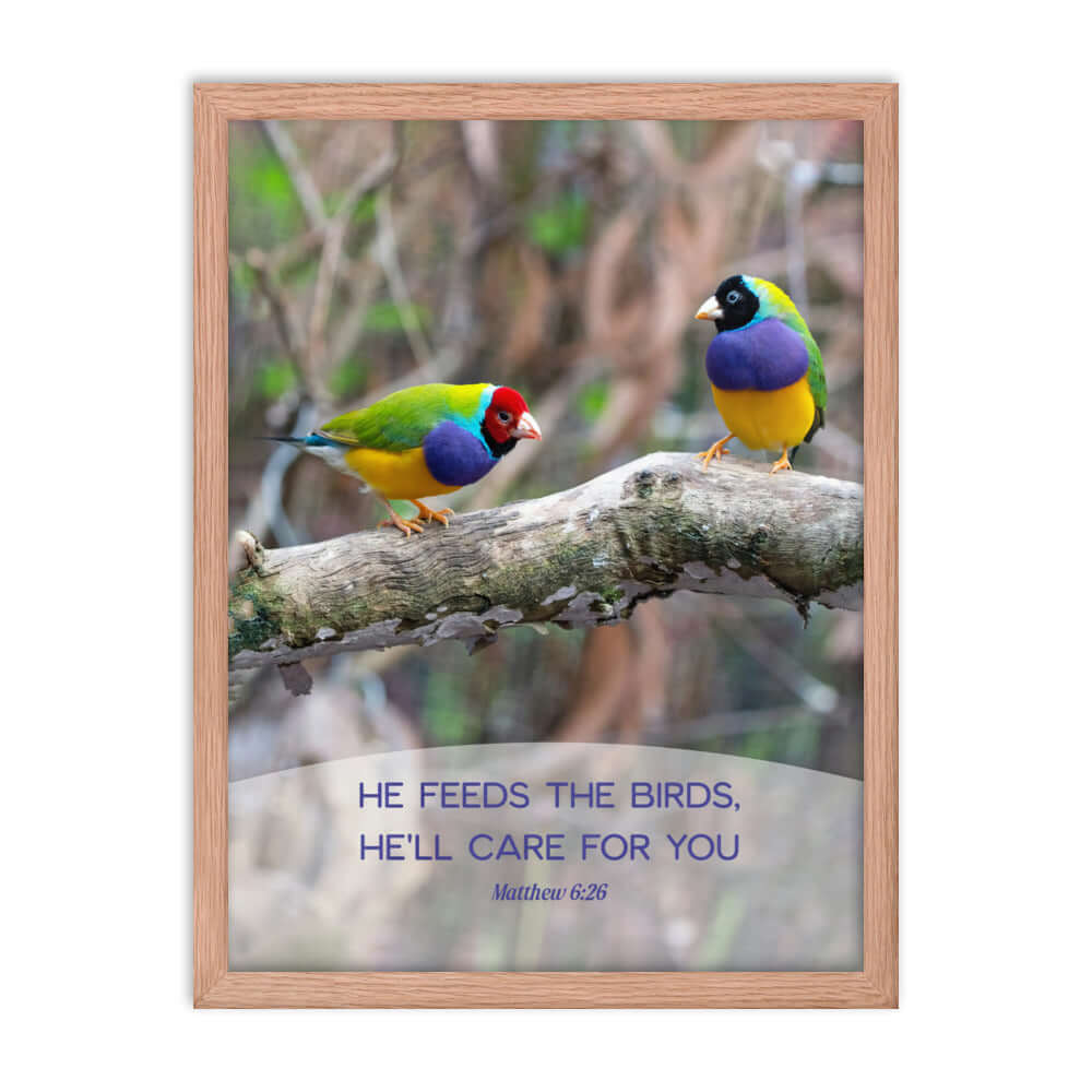 Matthew 6:26 Gouldian Finches, He'll Care for You Premium Luster Photo Paper Framed Poster Wall Art Red Oak 18″×24″