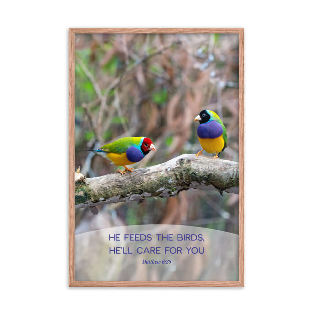 Matthew 6:26 Gouldian Finches, He'll Care for You Premium Luster Photo Paper Framed Poster Wall Art Red Oak 24″×36″