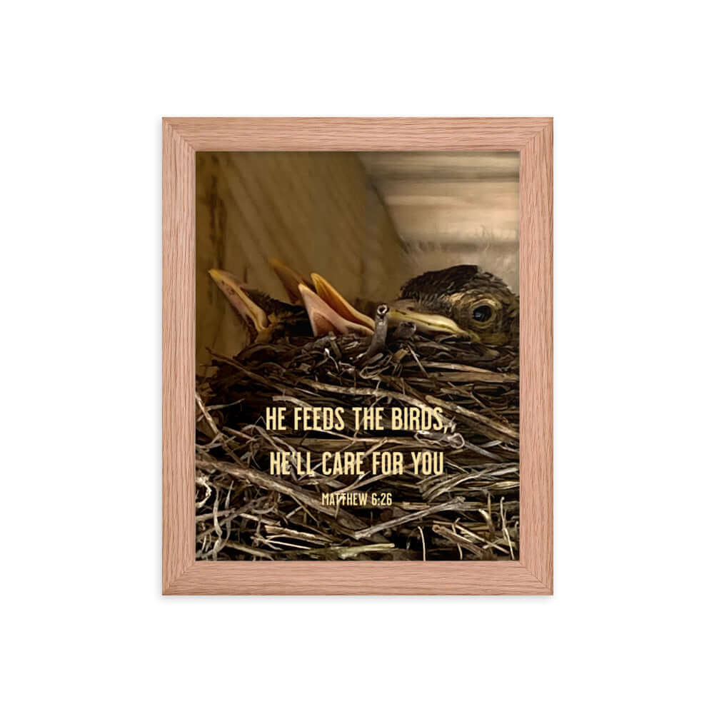 Matthew 6:26 Baby Robins, He'll Care for You Premium Luster Photo Paper Framed Poster Wall Art Red Oak 8″×10″