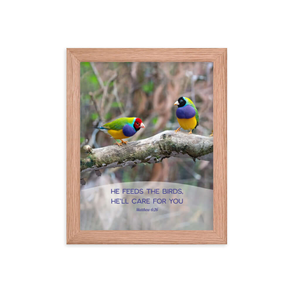 Matthew 6:26 Gouldian Finches, He'll Care for You Premium Luster Photo Paper Framed Poster Wall Art Red Oak 8″×10″