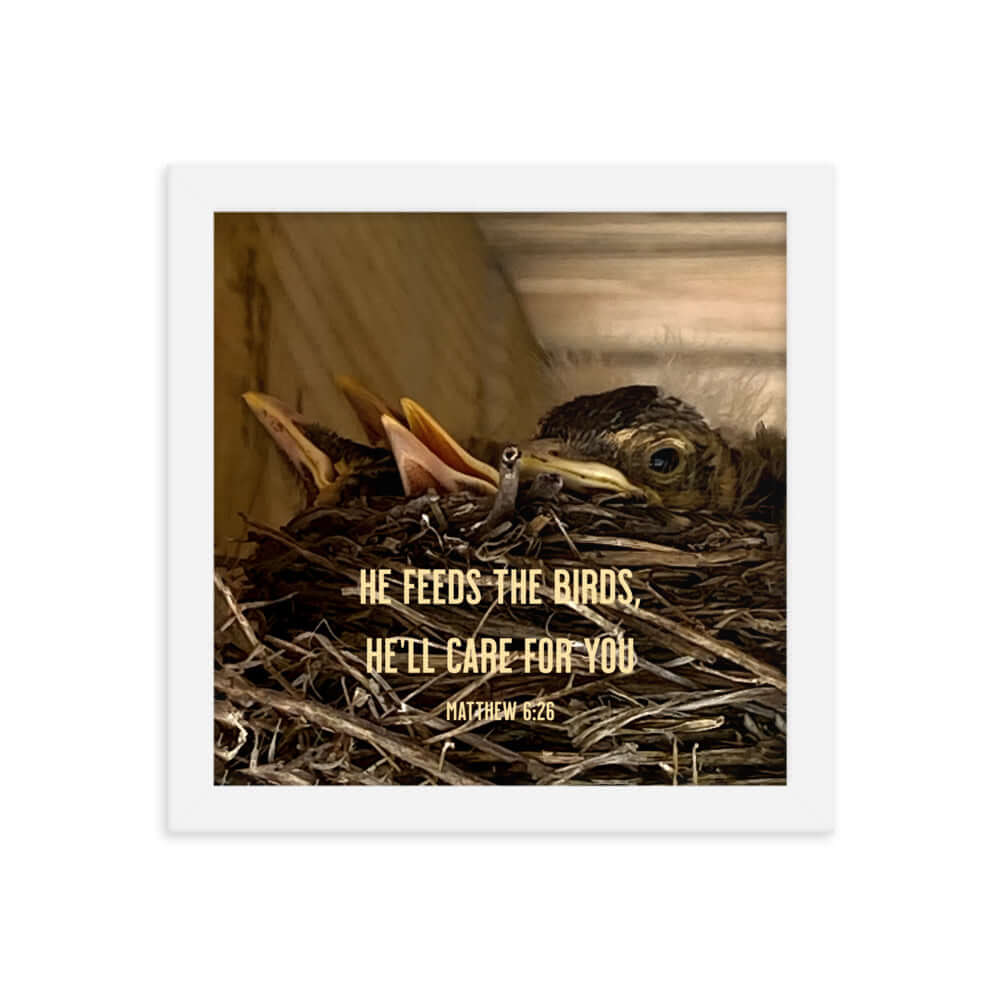 Matthew 6:26 Baby Robins, He'll Care for You Premium Luster Photo Paper Framed Poster Wall Art White 10″×10″