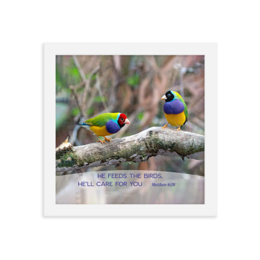 Matthew 6:26 Gouldian Finches, He'll Care for You Premium Luster Photo Paper Framed Poster Wall Art White 10″×10″