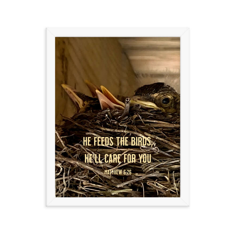 Matthew 6:26 Baby Robins, He'll Care for You Premium Luster Photo Paper Framed Poster Wall Art White 11″×14″
