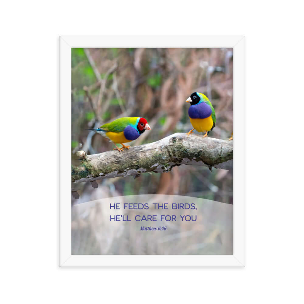 Matthew 6:26 Gouldian Finches, He'll Care for You Premium Luster Photo Paper Framed Poster Wall Art White 11″×14″