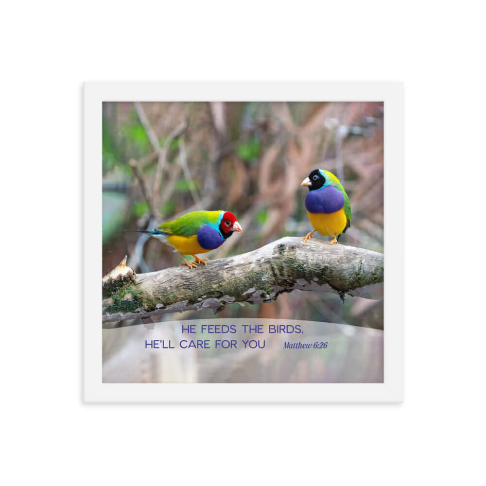 Matthew 6:26 Gouldian Finches, He'll Care for You Premium Luster Photo Paper Framed Poster Wall Art White 12″×12″