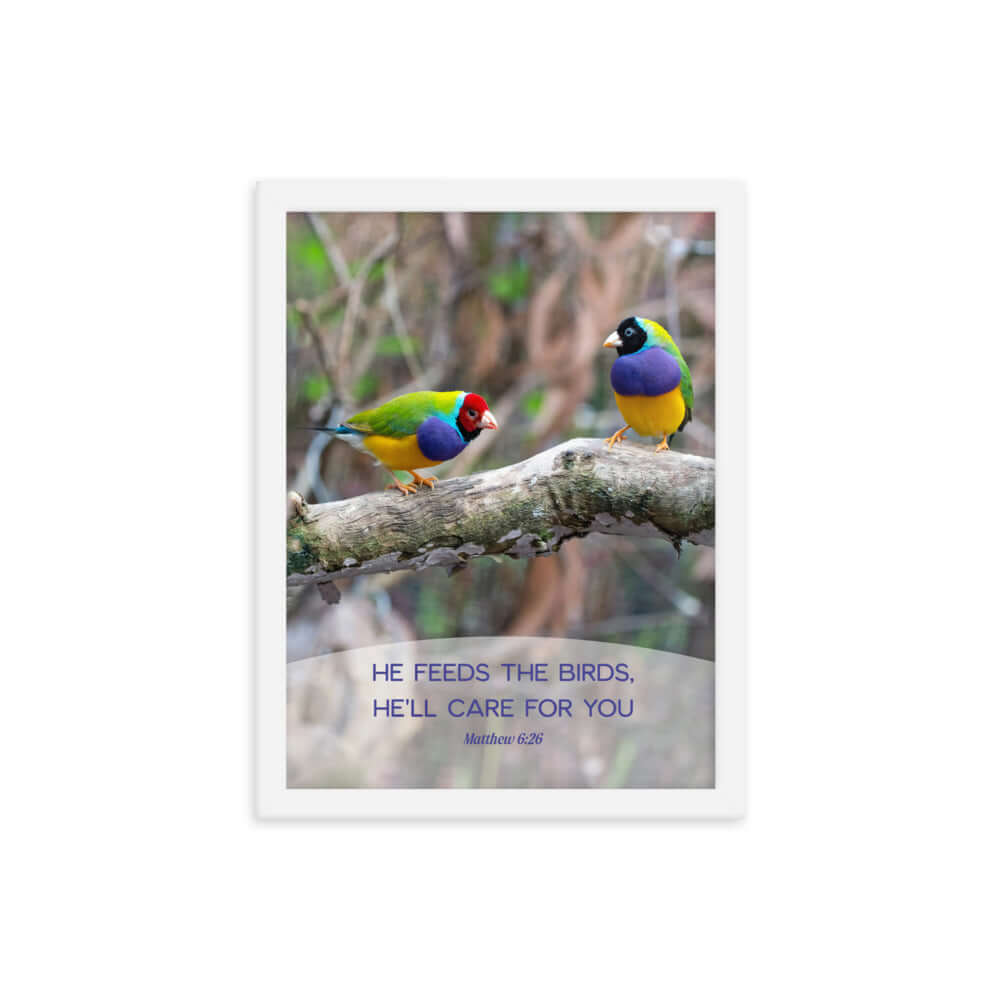 Matthew 6:26 Gouldian Finches, He'll Care for You Premium Luster Photo Paper Framed Poster Wall Art White 12″×16″