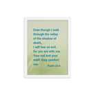 Psalm 23:4 Bible Verse, fear no evil Premium Luster Photo Paper Framed Poster Wall Art White 12″×16″