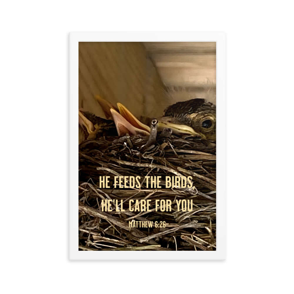 Matthew 6:26 Baby Robins, He'll Care for You Premium Luster Photo Paper Framed Poster Wall Art White 12″×18″