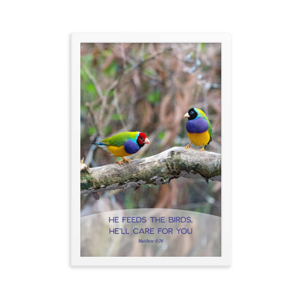 Matthew 6:26 Gouldian Finches, He'll Care for You Premium Luster Photo Paper Framed Poster Wall Art White 12″×18″