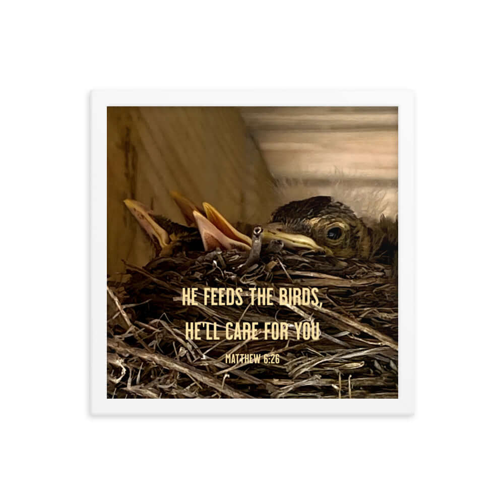 Matthew 6:26 Baby Robins, He'll Care for You Premium Luster Photo Paper Framed Poster Wall Art White 14″×14″