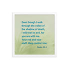 Psalm 23:4 Bible Verse, fear no evil Premium Luster Photo Paper Framed Poster Wall Art White 14″×14″